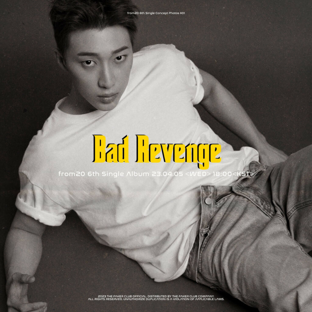 Album Bad Revenge