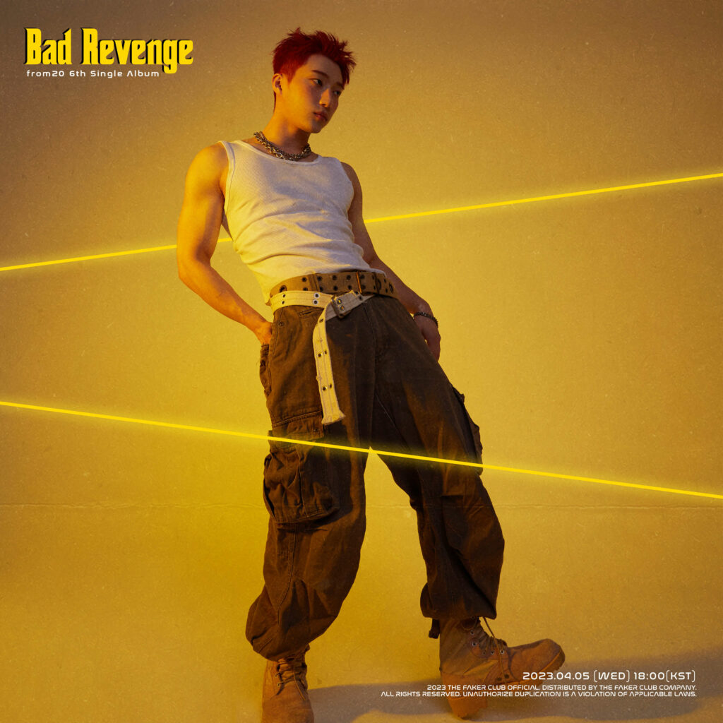 Album Bad Revenge