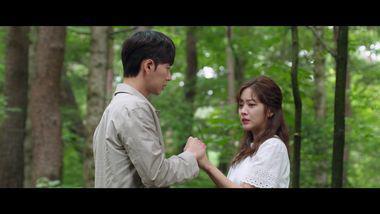 Forest - Viki