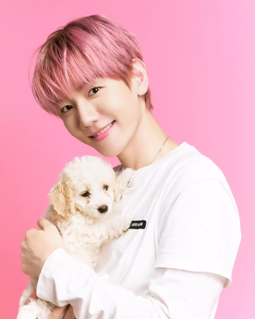 Reverie BAEKHYUN_official X