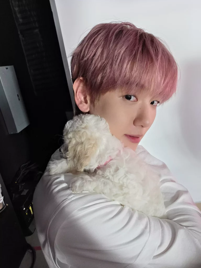 Reverie BAEKHYUN_official X