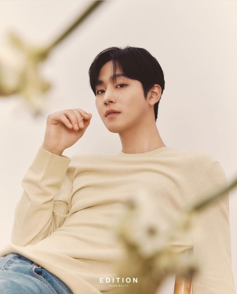 Ahn Hyo-seop - Edition sensibility 2022