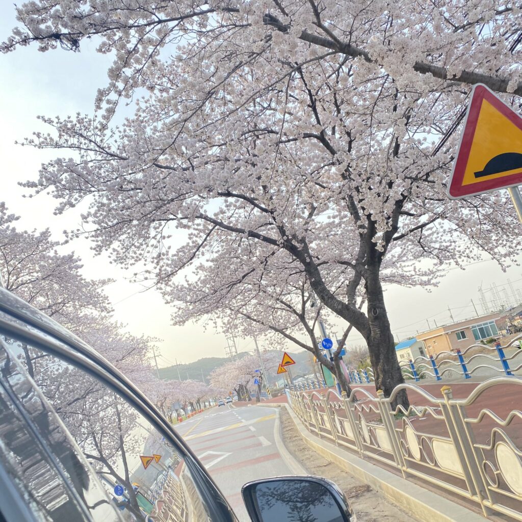 1ee_Jun_Yxxng - Twitter 2021