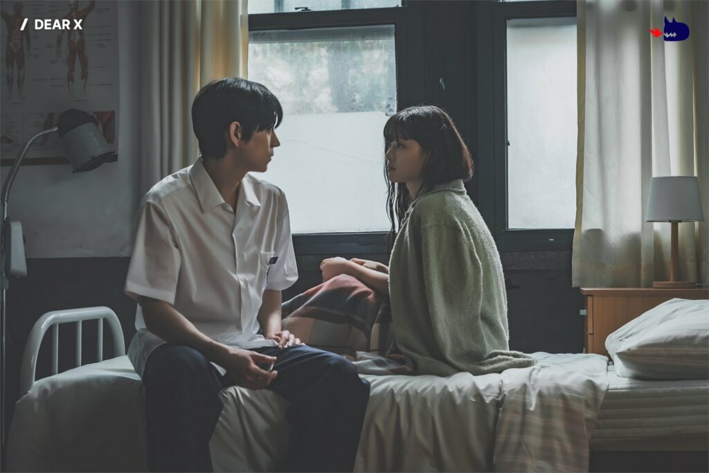 Daer X TVN