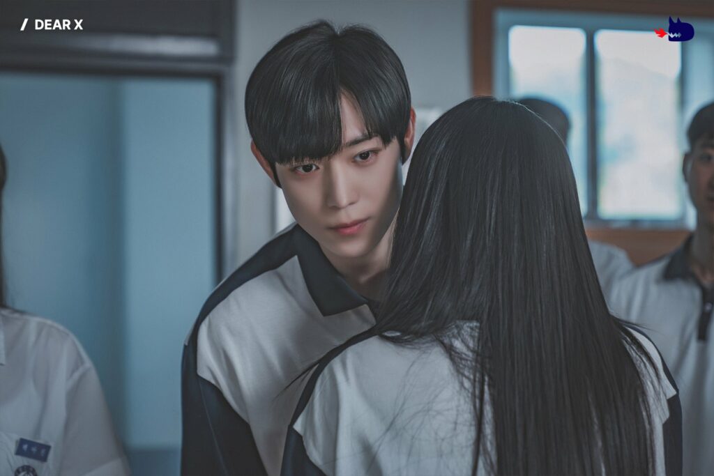 Daer X TVN