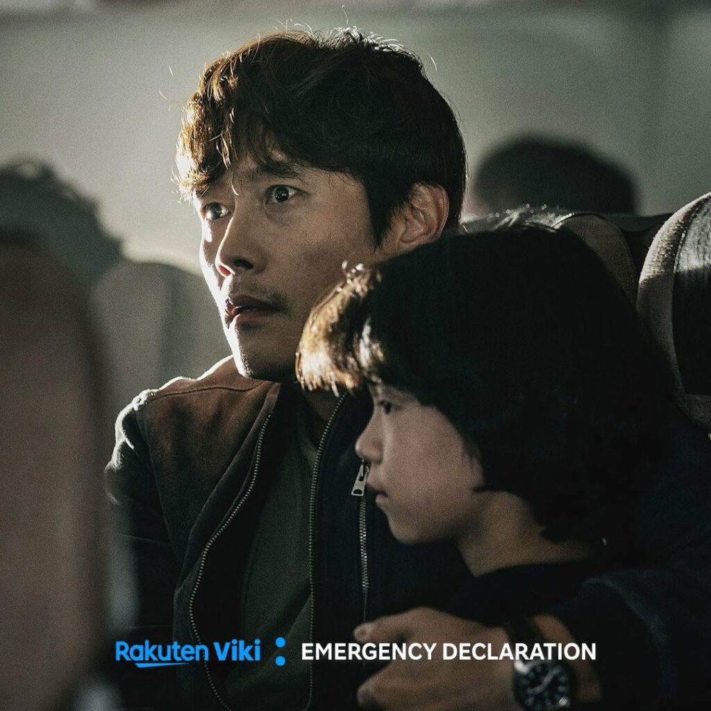 Emergency declaration Viki