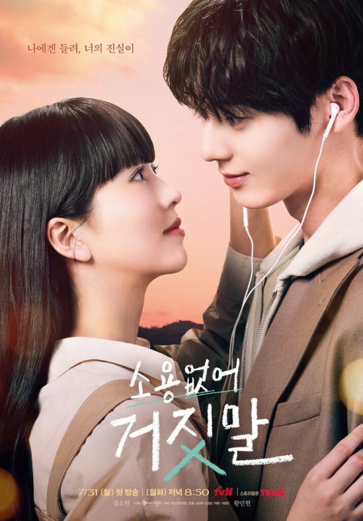 My lovely liar - poster