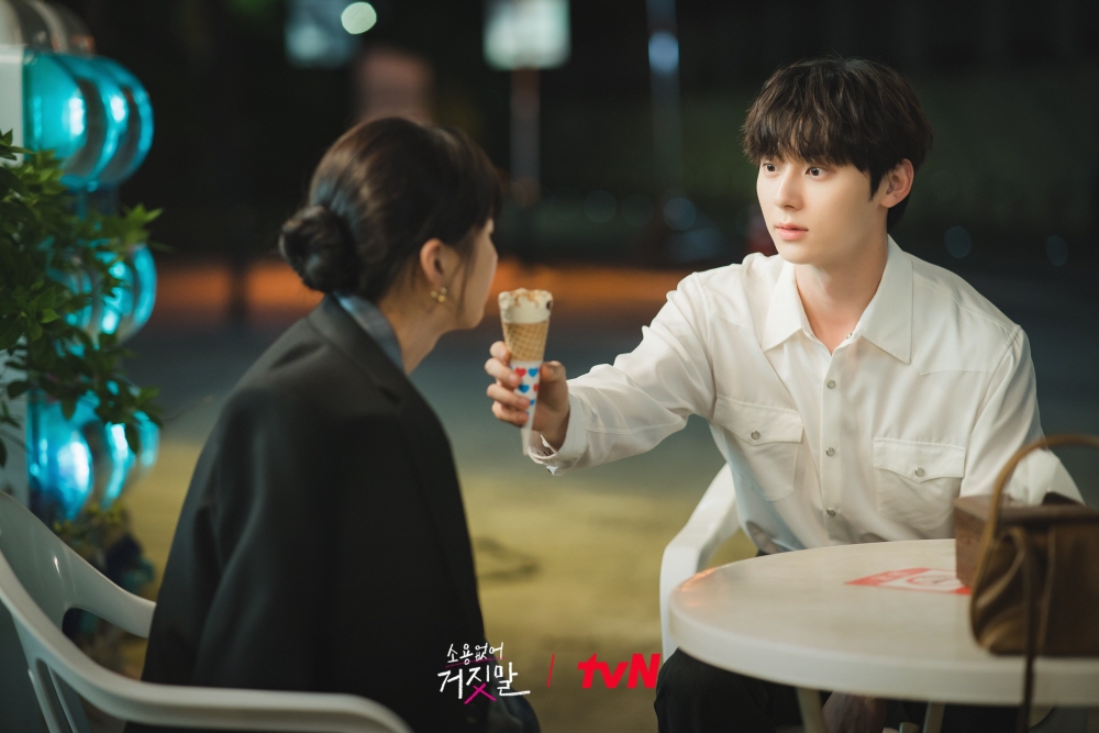 My lovely liar - TvN