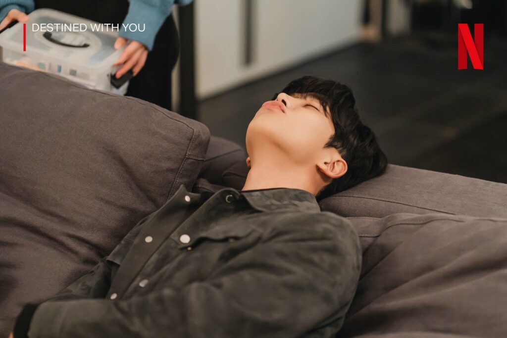 Destined with you Netflix