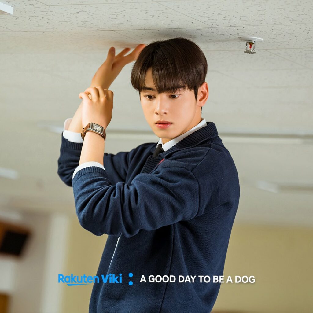 A good day to be a dog - Viki - Cha Eun-woo
