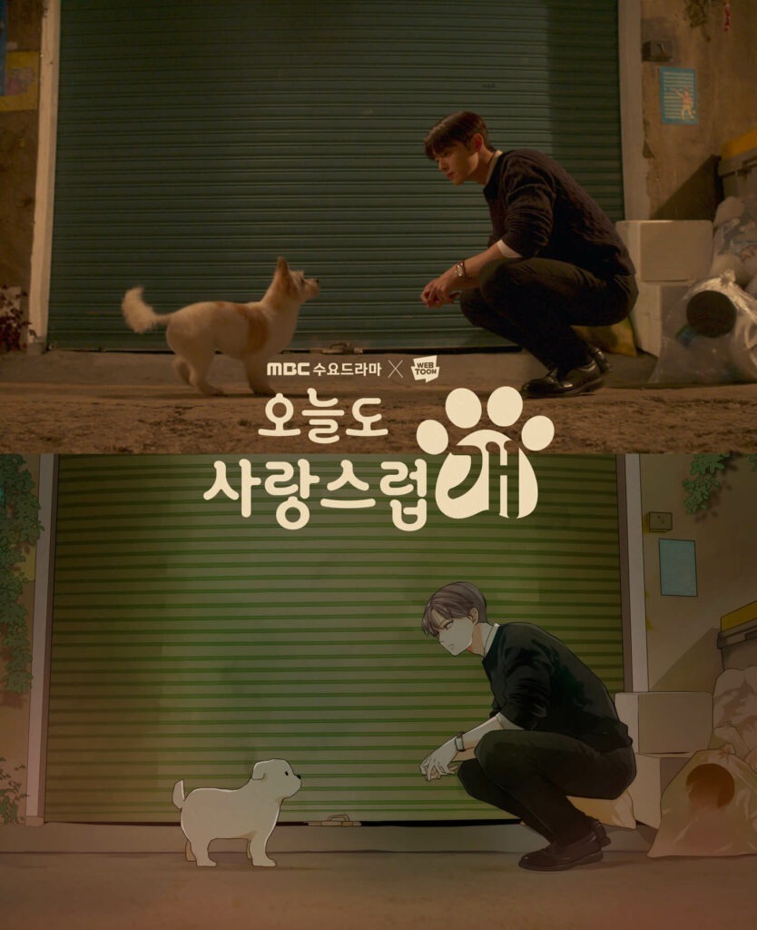 A good day to be a dog - poster MBC