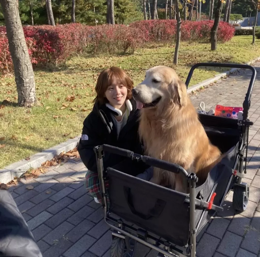 A good day to be a dog - Park Gyu-young Instagram