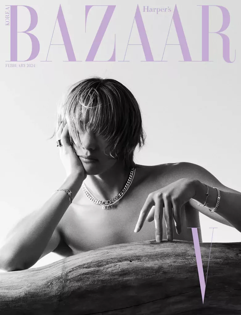 V pour Harper's Bazaar Celine 2024