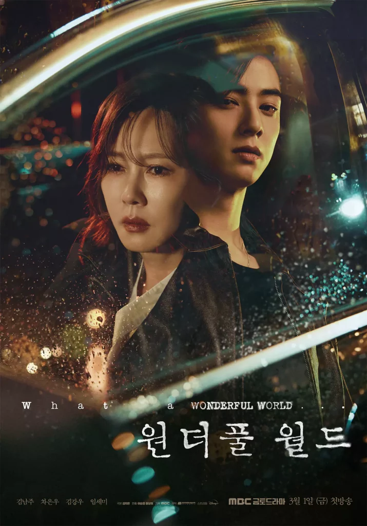 Wonderful world MBC Cha Eun-woo poster