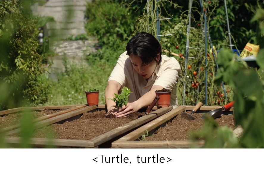 kortop media - nursery rhyme horror story - Turtle, turtle