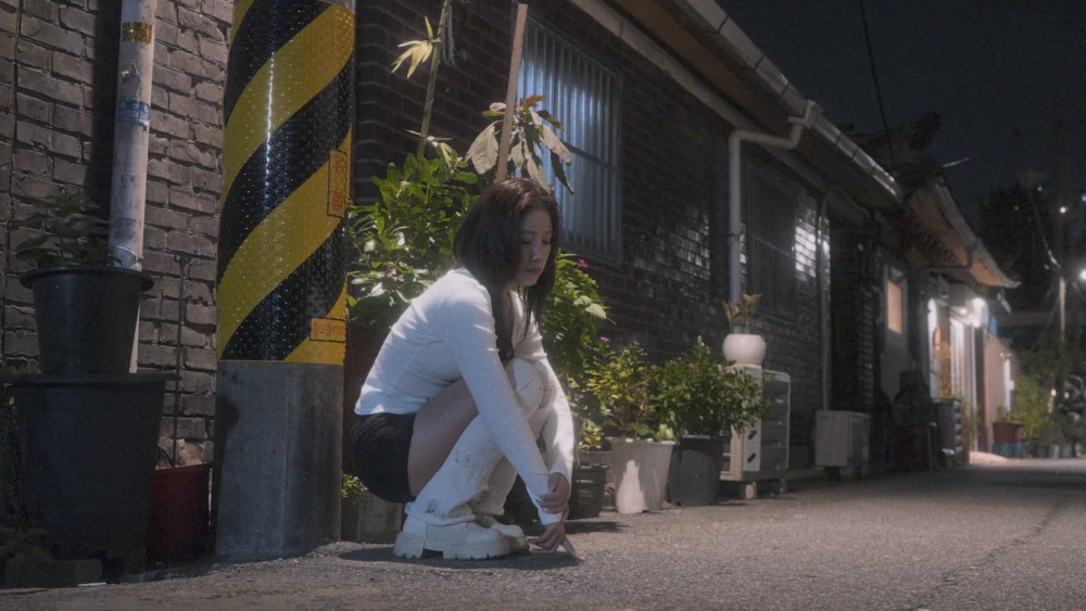 MV SUMMER Little Kitty (c)PeterDalrooKim