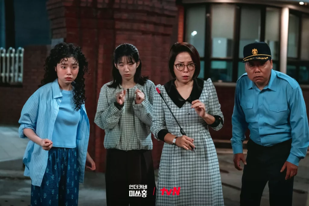 Undercover MIss Hong - TvN