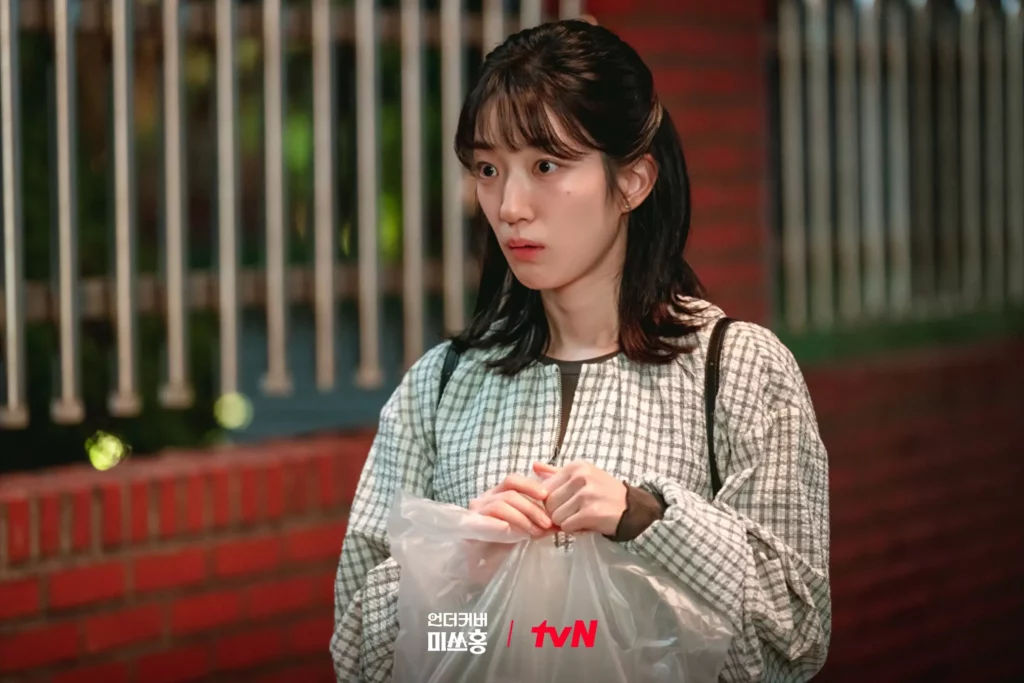 Undercover MIss Hong - TvN
